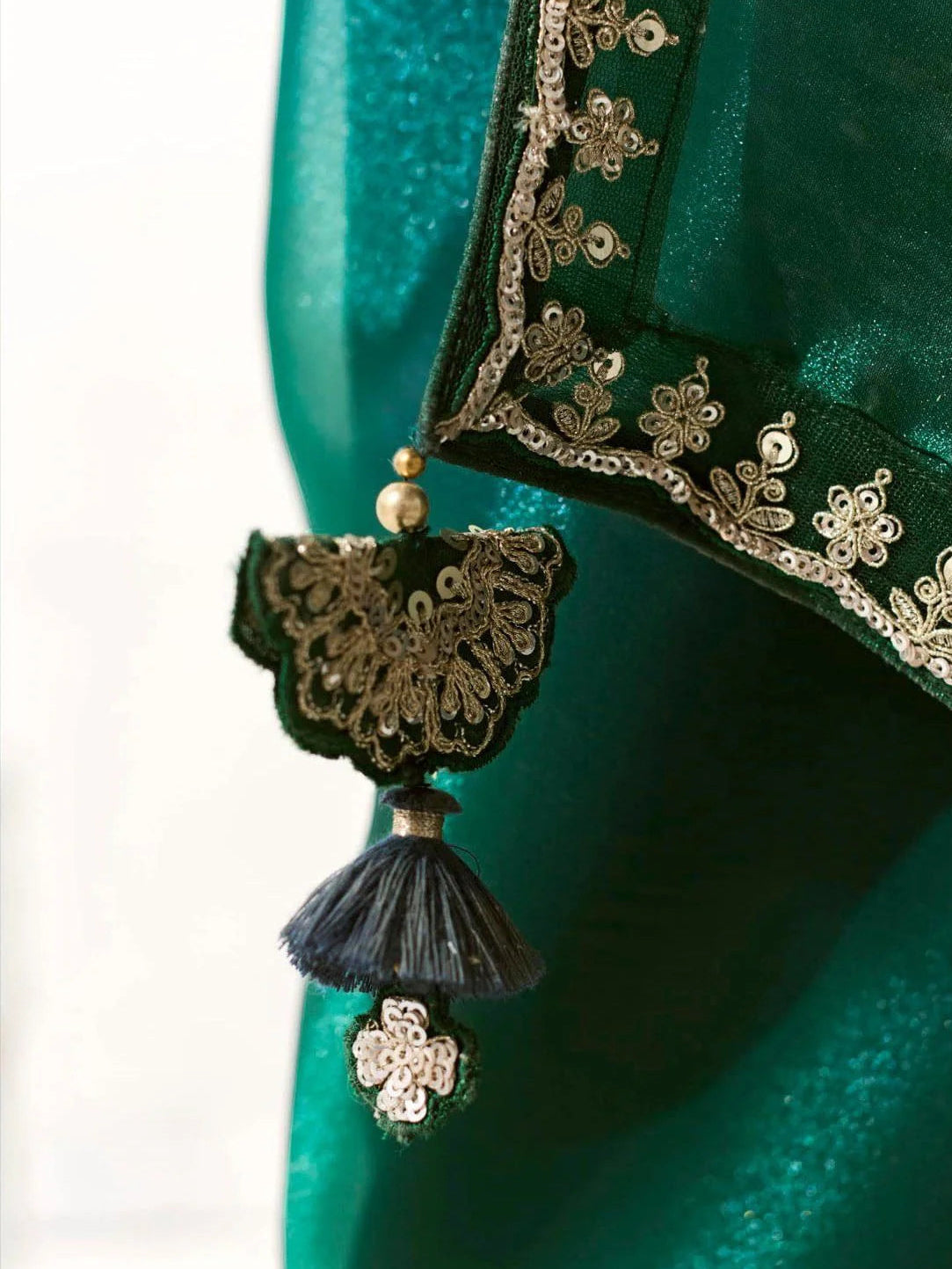 Tissue-organza saree