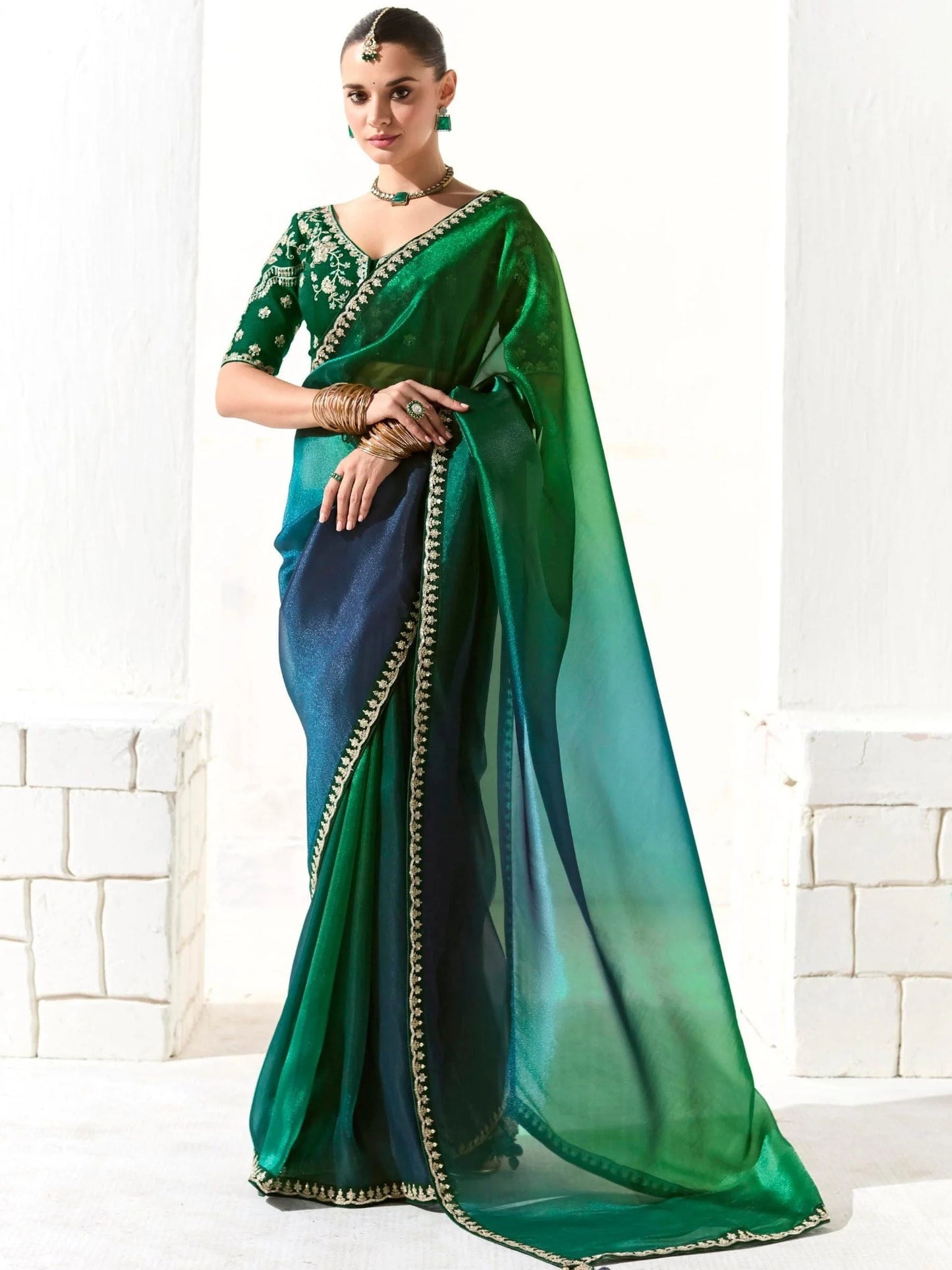 Tissue-organza saree