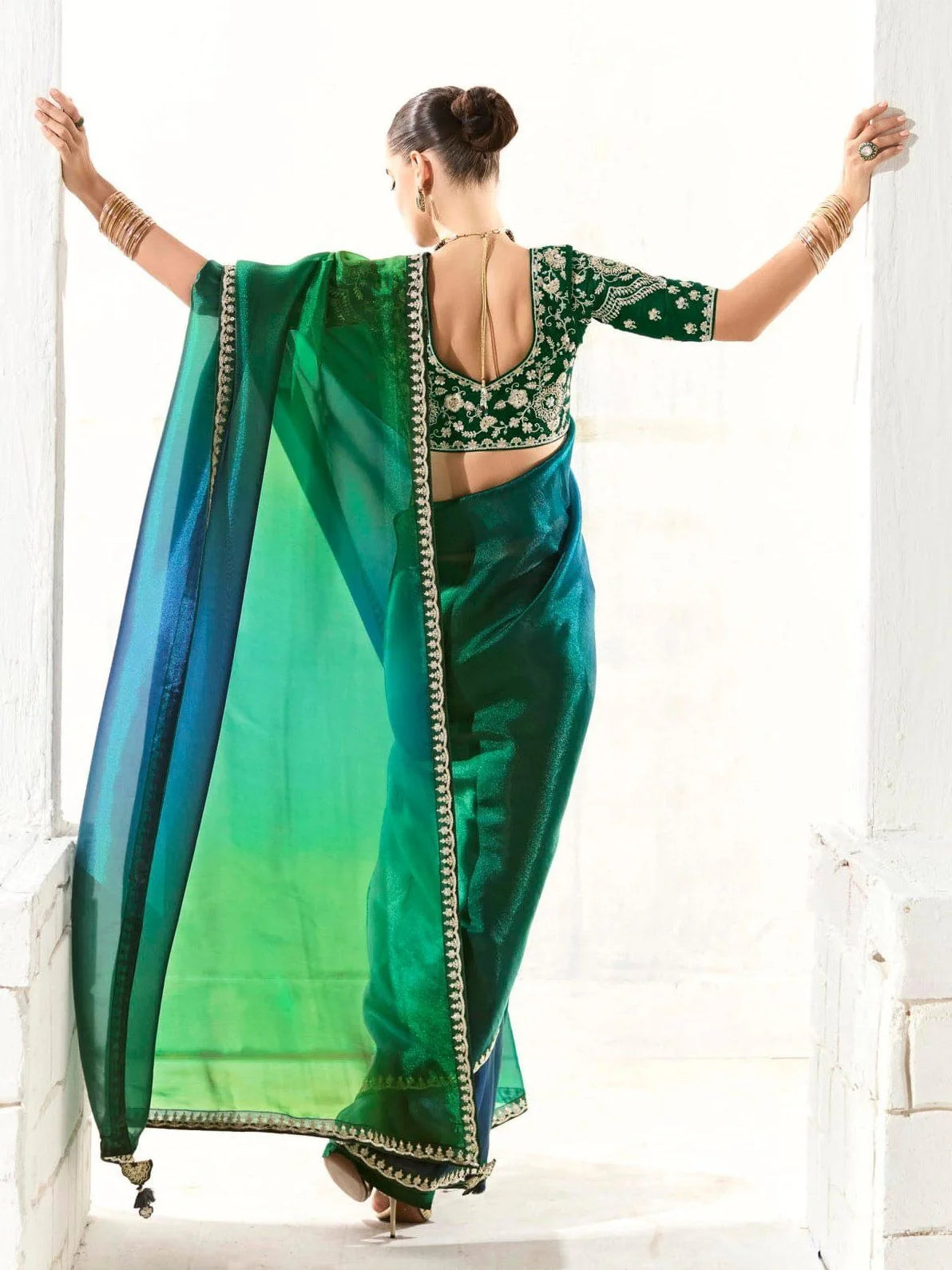 Tissue-organza saree